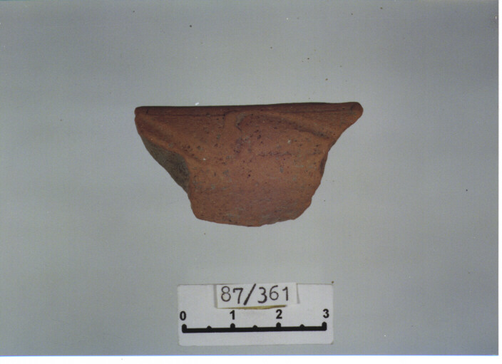 catino/ orlo (secc. XIV/ XV d.C)