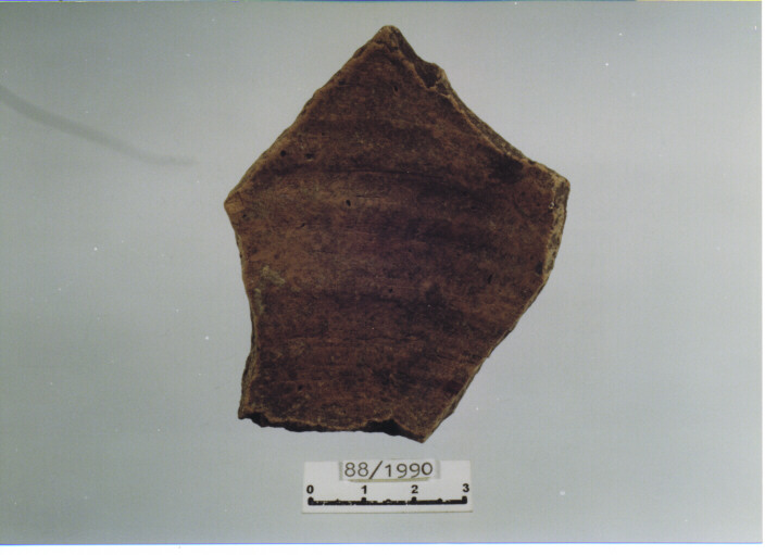 olla/ fondo (SEC. X D.C)