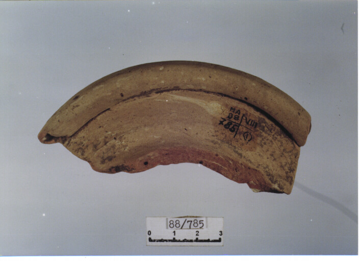 anfora/ orlo (secc. IV/ VI d.C)