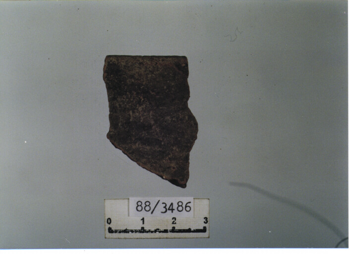 olla/ orlo (secc. IX/ X d.C)