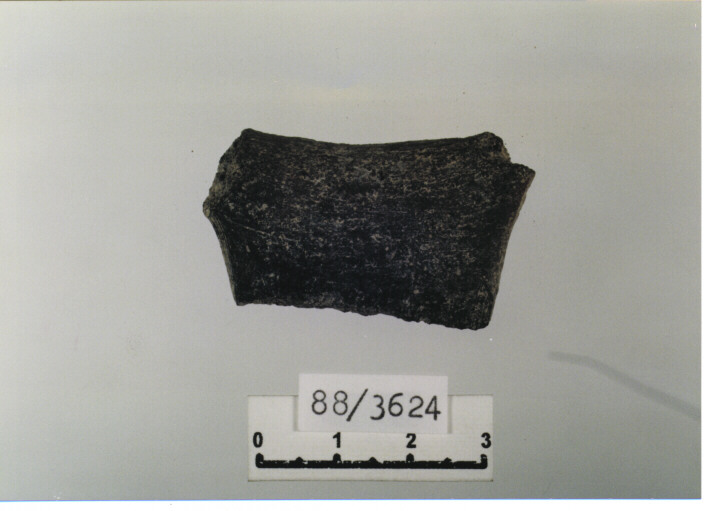 olla/ orlo (sec. X d.C)