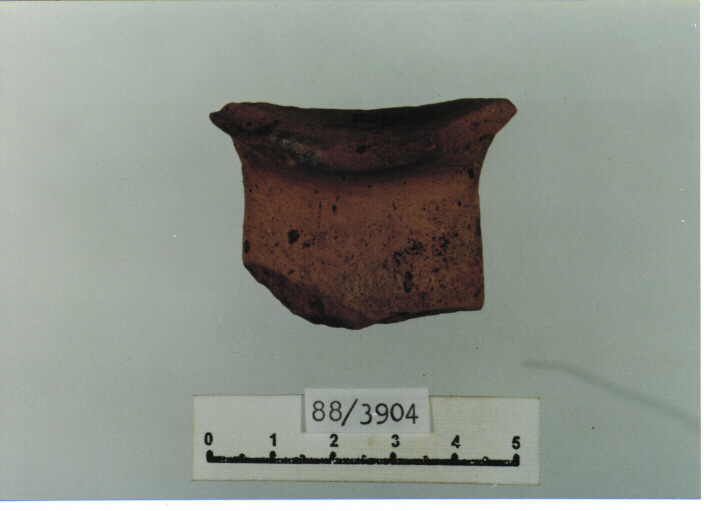 anfora/ orlo (sec. IX d.C)