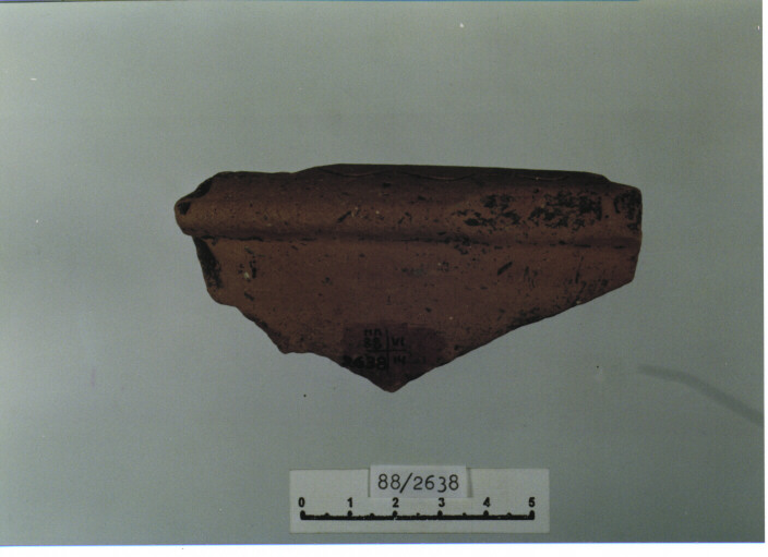 catino/ orlo (SECC. XIV/ XV D.C)