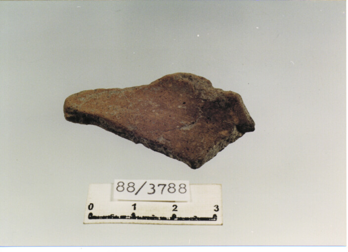 olla/ fondo (SEC. XII D.C)