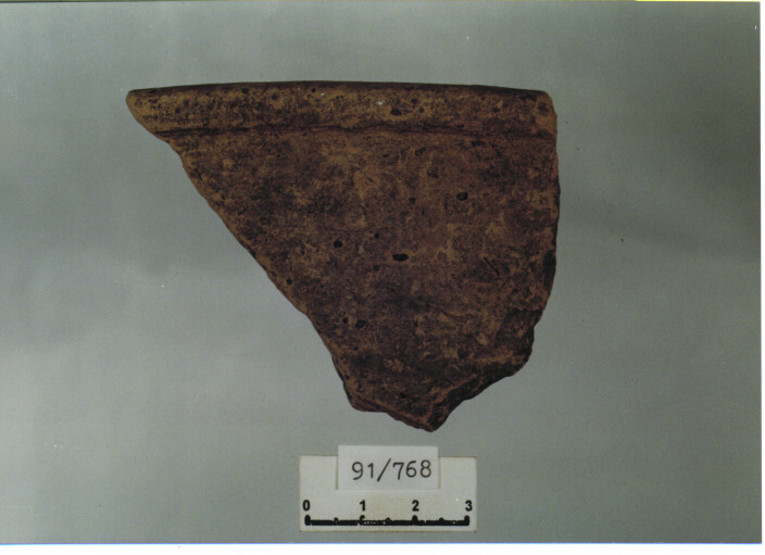 catino/ orlo (SECC. XIV/ XV D.C)