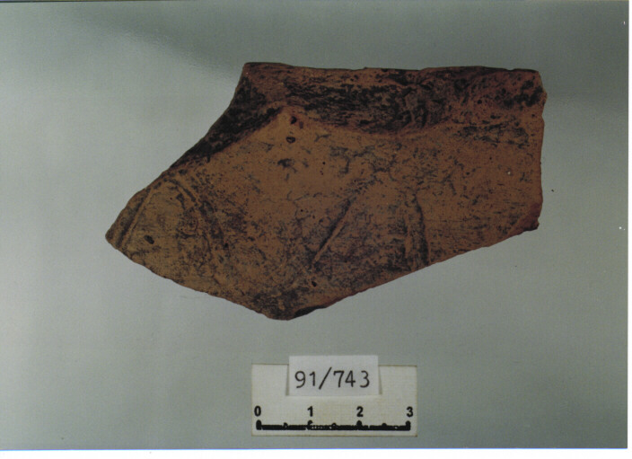 catino/ orlo (SECC. XIV/ XV D.C)