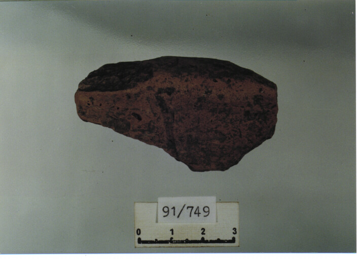 catino/ orlo (secc. XIV/ XV d.C)