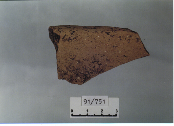 catino/ orlo (secc. XIV/ XV d.C)