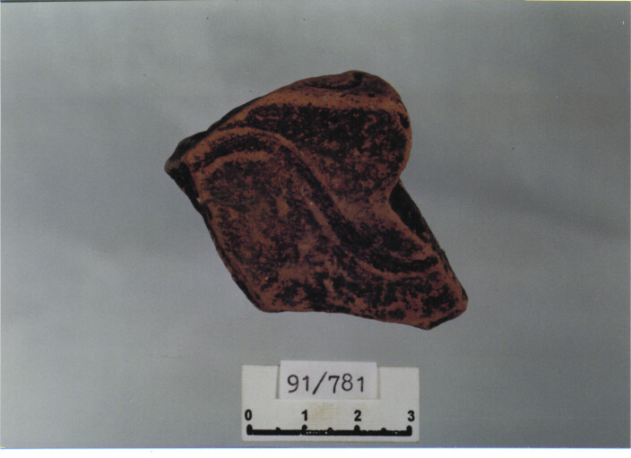 catino/ orlo (secc. XIV/ XV d.C)