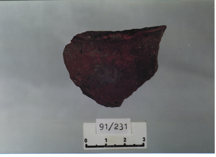 ansa (secc. IX/ X d.C)