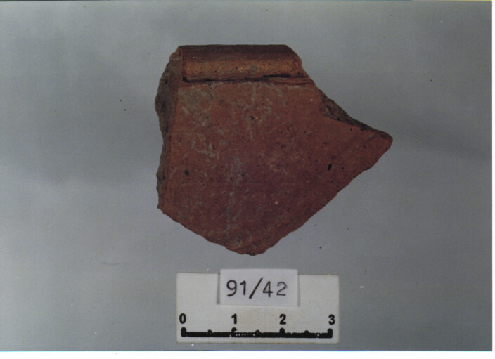 catino/ orlo (secc. XIV/ XV d.C)