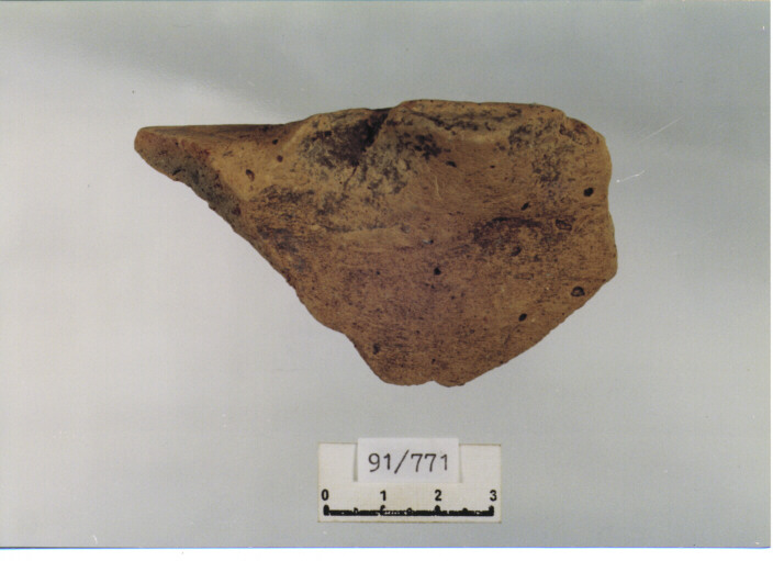 catino/ orlo (secc. XIV/ XV d.C)