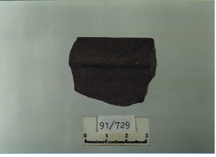 catino/ orlo (secc. XIV/ XV d.C)