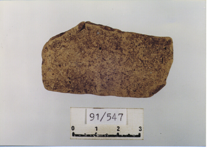 anfora/ ansa (SEC. IX D.C)