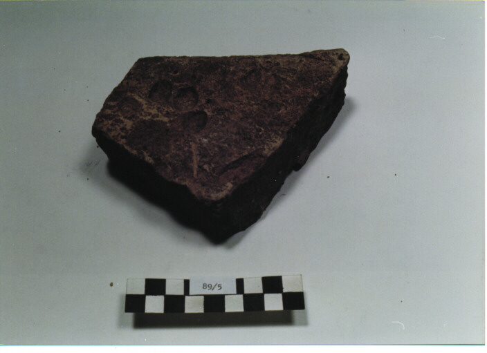 SESQUIPEDALE (SECC. I/ VI D.C)