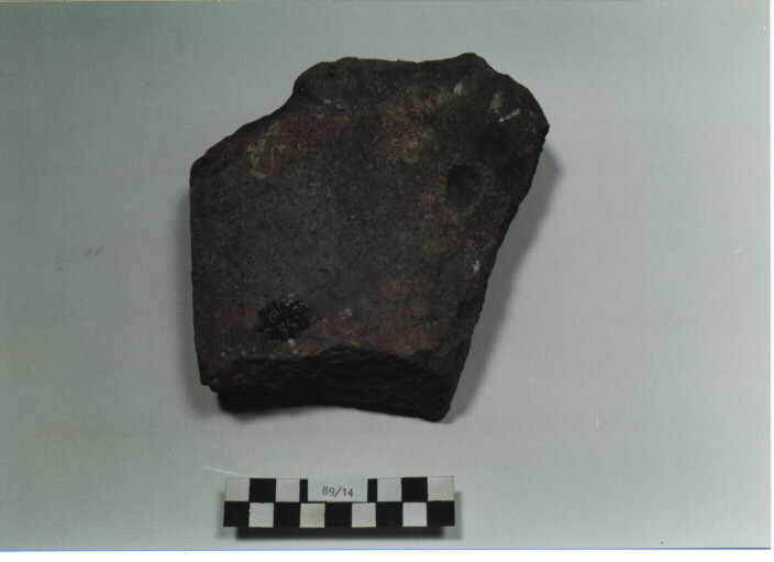 SESQUIPEDALE (SECC. I/ VI D.C)