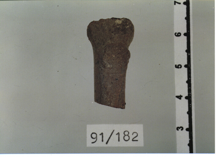 ANSA (secc. IX/ X d.C)