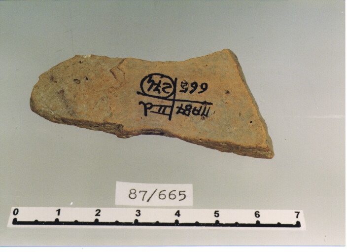 brocca/ fondo (SECC. XII/ XIV D.C)