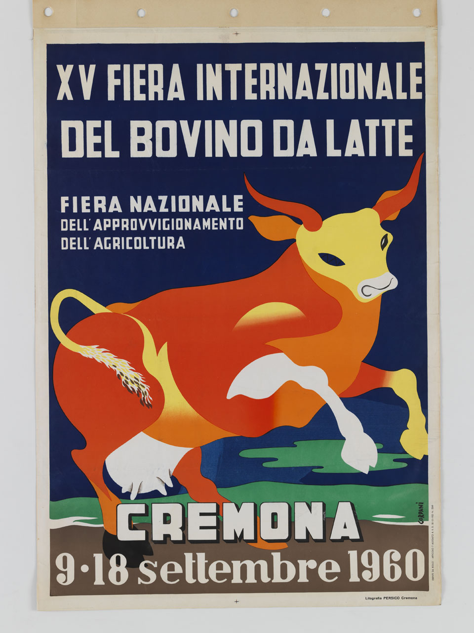 bufala di colore rosso, giallo e bianco su fondo blu, verde e marrone (manifesto) di Cordani Sereno (sec. XX)