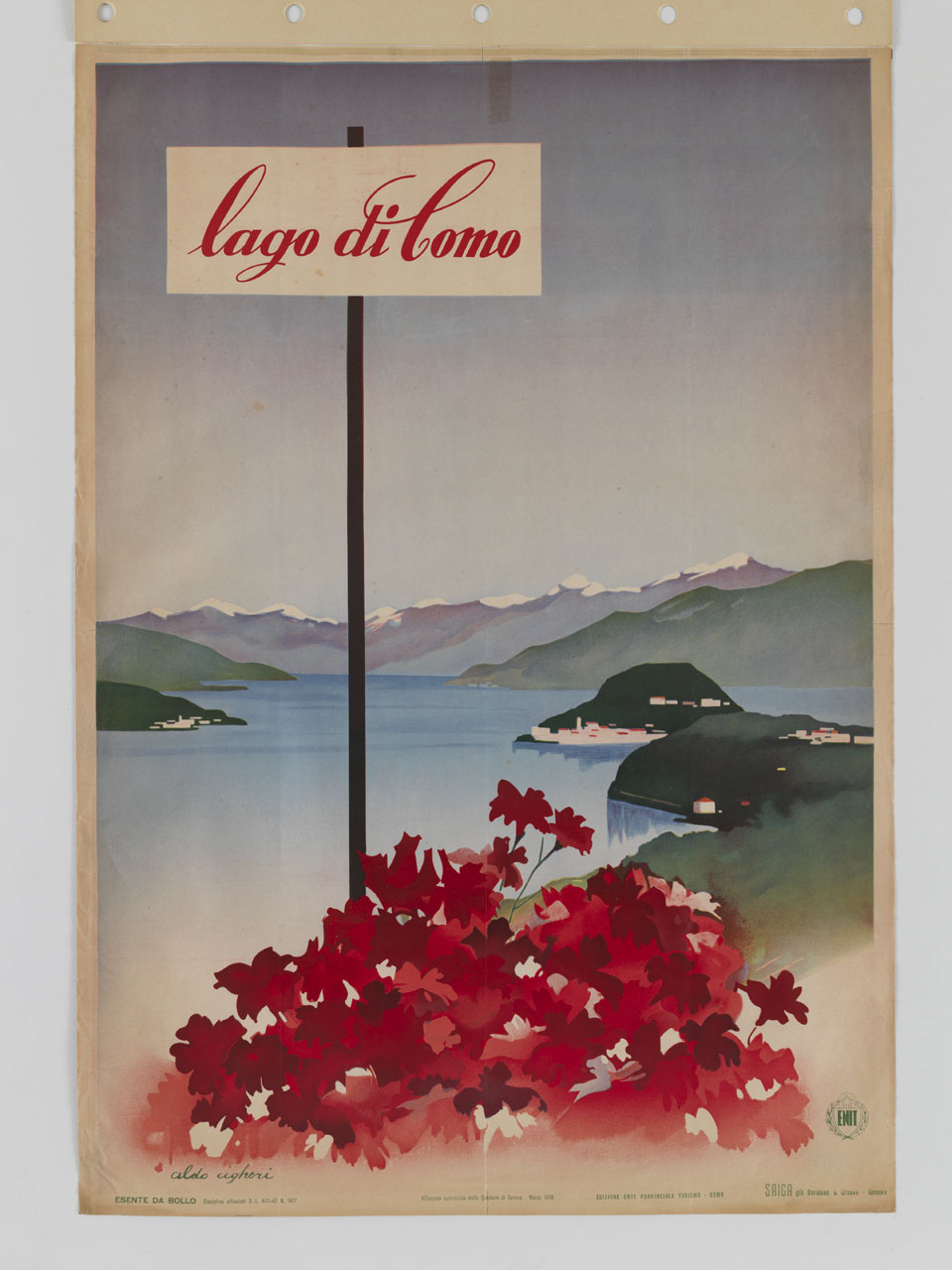 veduta del lago di Como con le montagne innevate sullo sfondo e fiori rossi in primo piano (manifesto) di Cigheri Aldo (sec. XX)