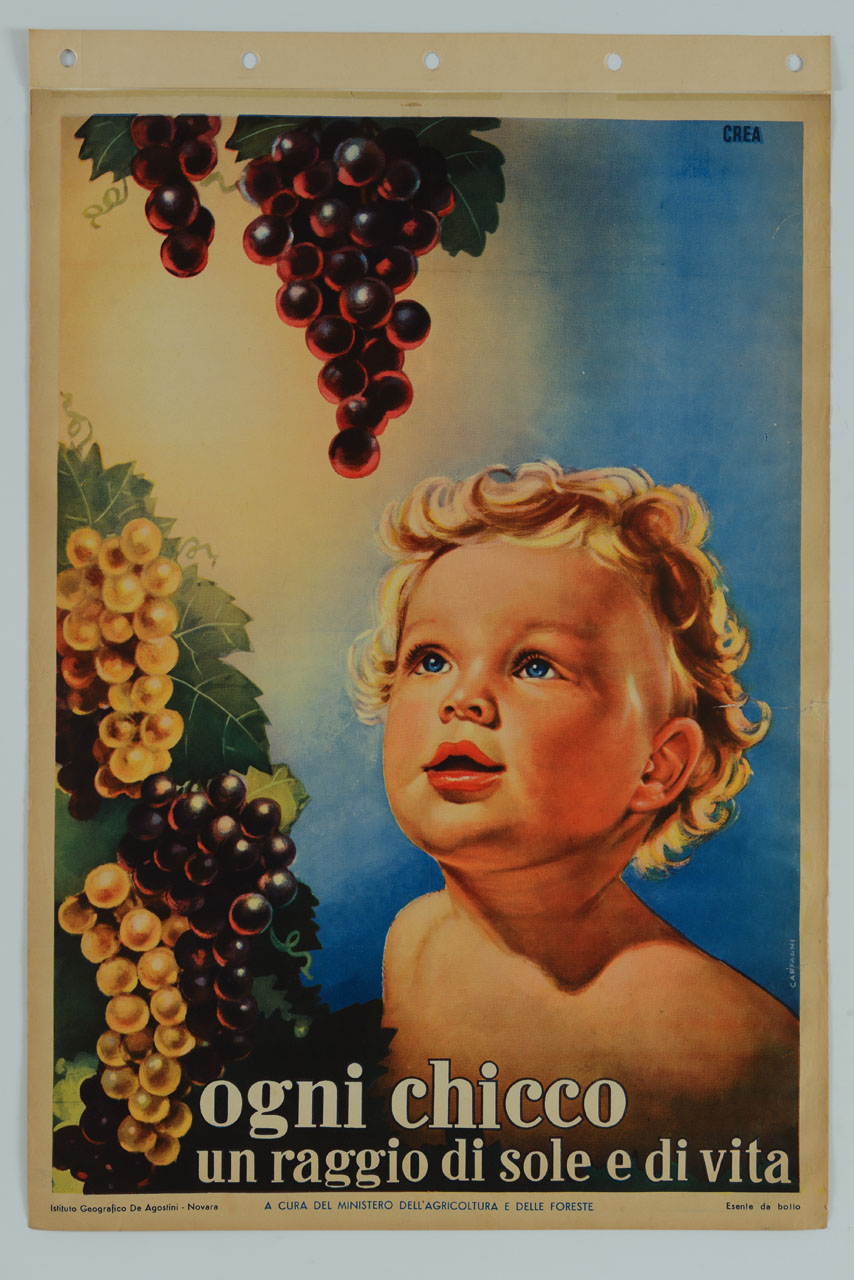 bambino con occhi azzurri e riccioli biondi osserva i grappoli d'uva di fronte e in alto a lui (manifesto) di Crea - Centro Grafico Pubblicitario (sec. XX)