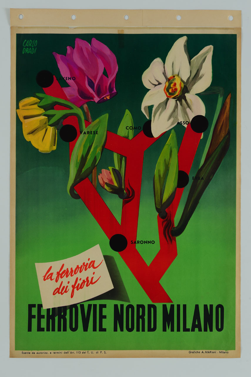alcuni fiori spuntano dalle città collegate dalla linea delle Ferrovie Nord Milano, rappresentate da linee rosse (manifesto) di Dradi Carlo (sec. XX)