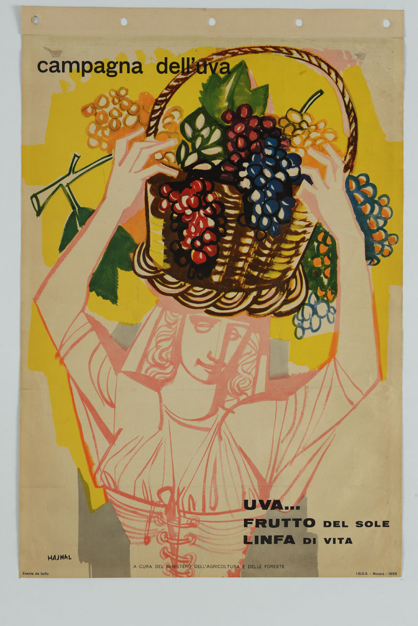 contadina regge sul capo cesta con gappoli d'uva (manifesto) di Hajnal János detto Hajnal Giovanni (sec. XX)