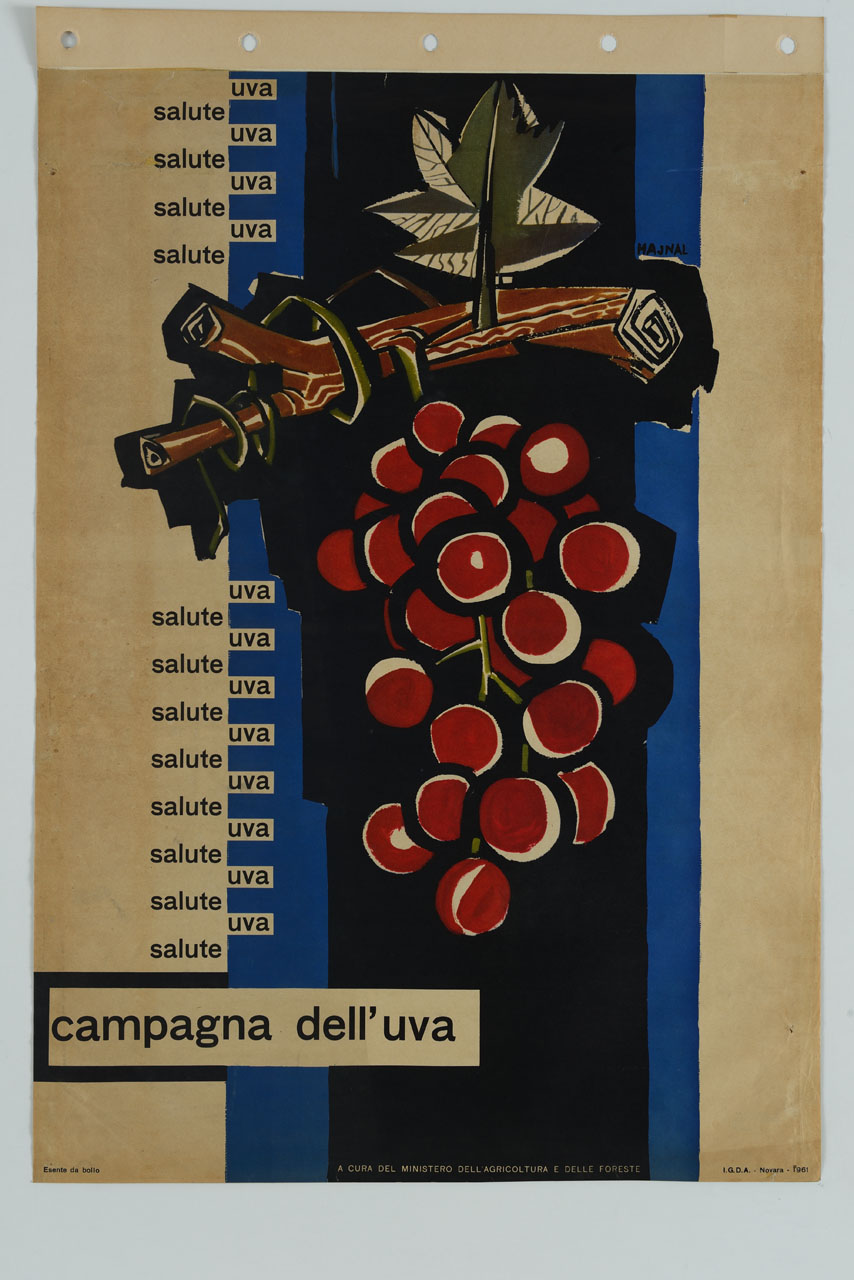 tralcio di vite con grappolo d'uva rossa (manifesto) di Hajnal János detto Hajnal Giovanni (sec. XX)