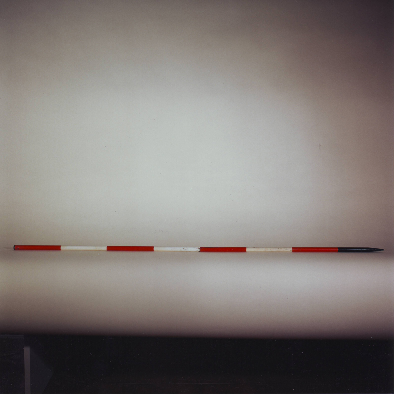 palina (1980-1985 ca)