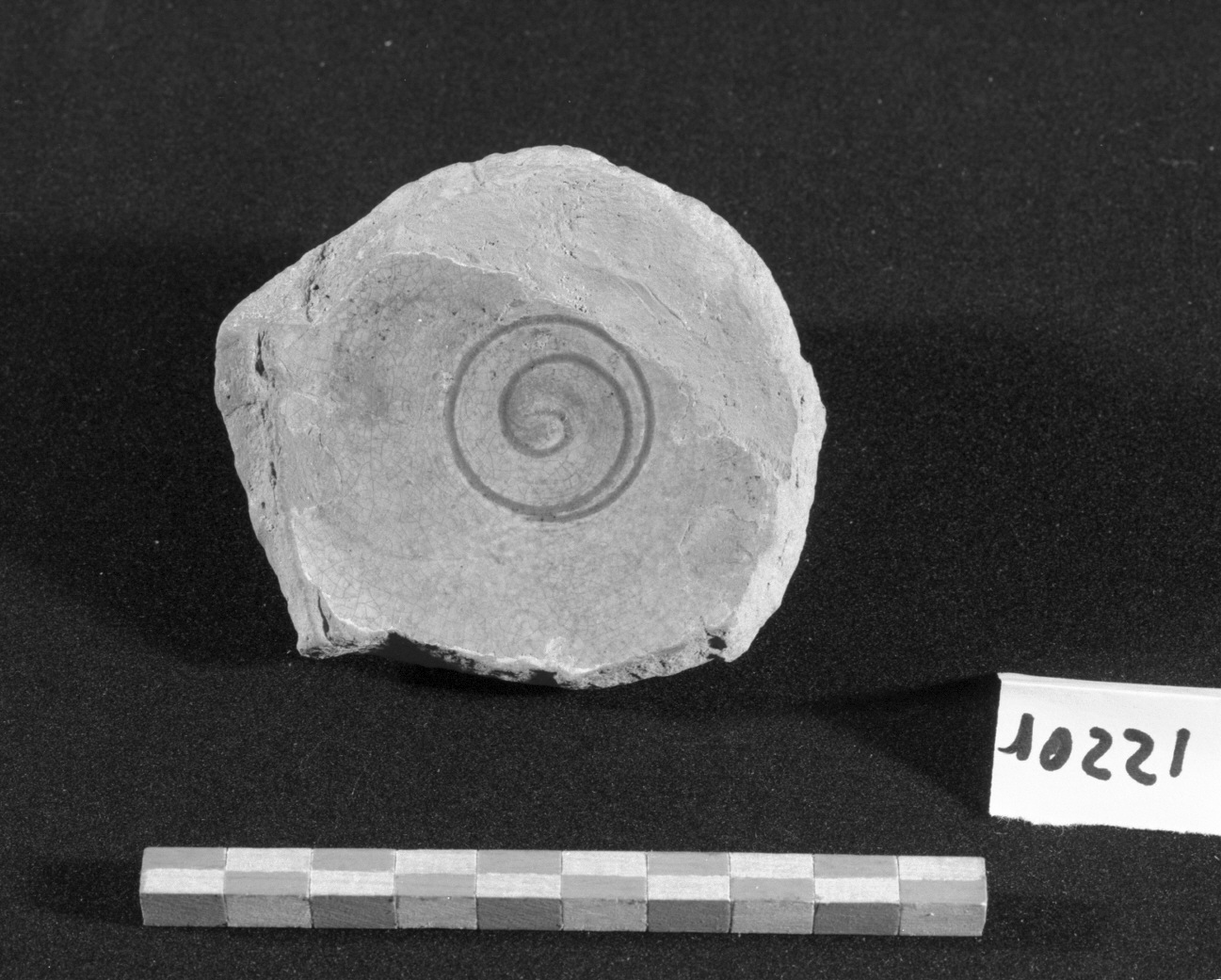 motivi decorativi geometrici (scodella, frammento) - produzione veneziana (seconda metà sec. XIII)