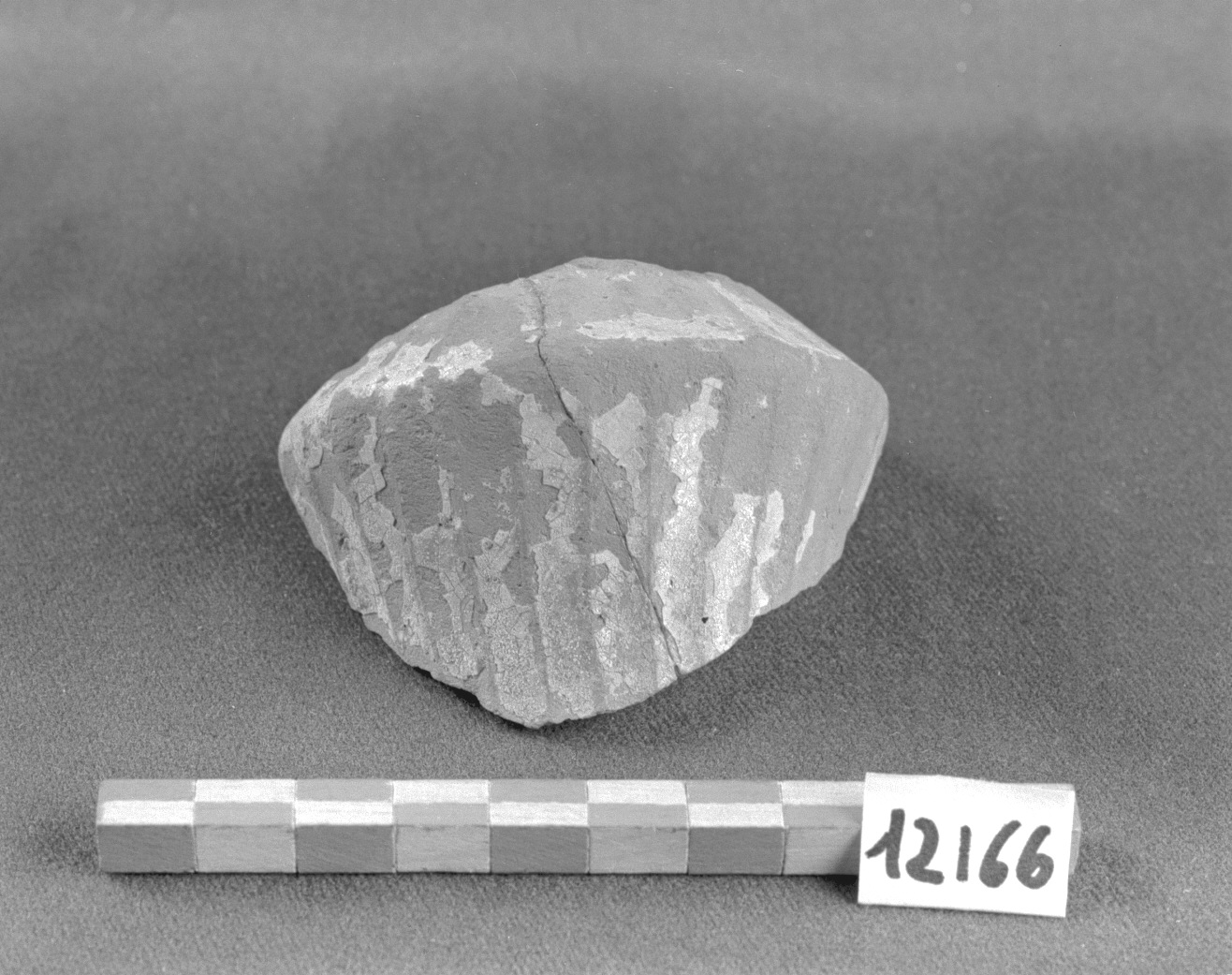 motivo decorativo (alberello, frammento) - produzione veneziana (secc. XIII/ XIV)