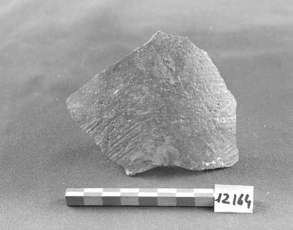 motivo decorativo (piatto, frammento) - produzione veneziana (secc. IX/ XII)