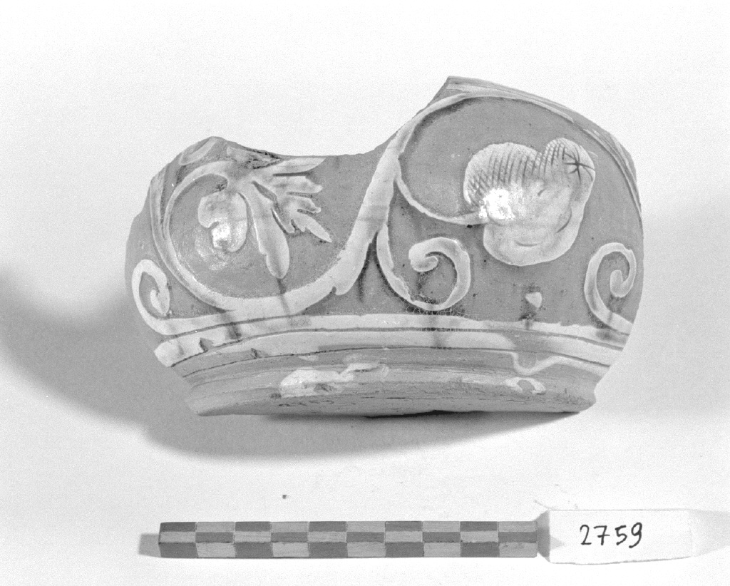 motivi decorativi vegetali (boccale, frammento) - produzione veneziana (inizio sec. XVI)