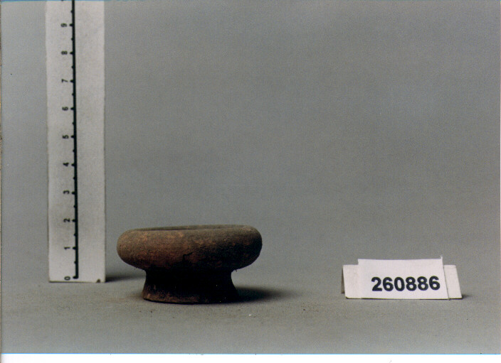 COPPA (SECC. IV/ I A.C)