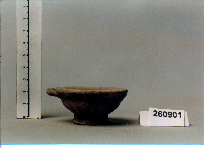 COPPA (SECC. IV/ I A.C)