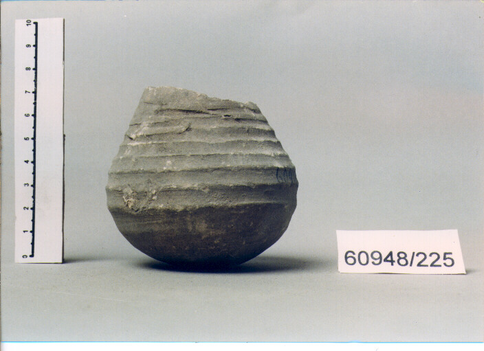 vaso (SECC. I/ IV D.C)