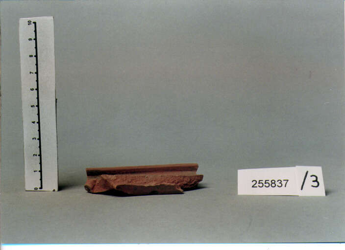 vaso/ orlo (secc. IV/ VI d.C)