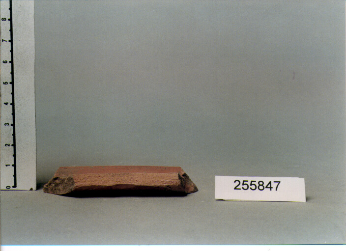 ORLO (SECC. IV/ VII D.C)