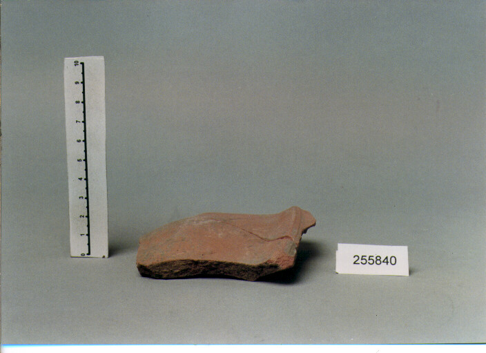 SCODELLA/ FORMA PARZIALMENTE RICOSTRUIBILE (SECC. IV/ VII D.C)