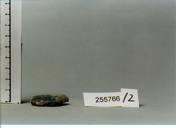 PARETE (SECC. IV/ I A.C)