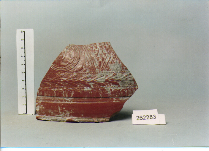 coppa/ forma parzialmente ricostruibile (SECC. I A.C./ I D.C)