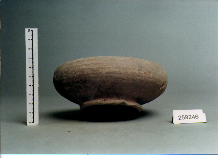 COPPETTA (SECC. III A.C./ IV D.C)