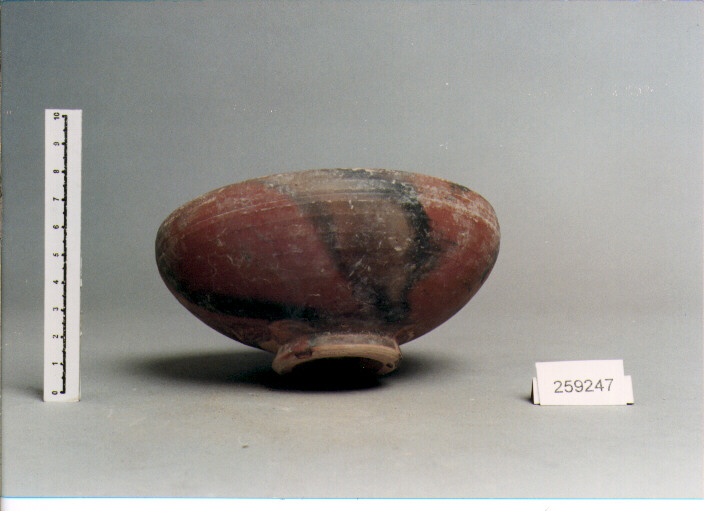 COPPA (SECC. IV/ I A.C)