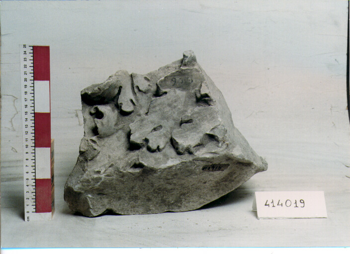 FREGIO (SECC. I/ III D.C)