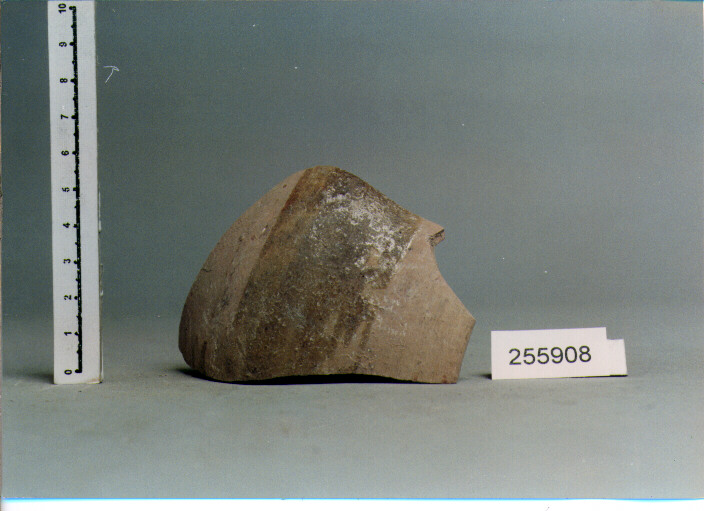 BROCCA (SEC. XI/ XIII D.C)