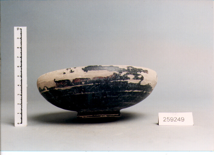 COPPA (SECC. IV/ I A.C)