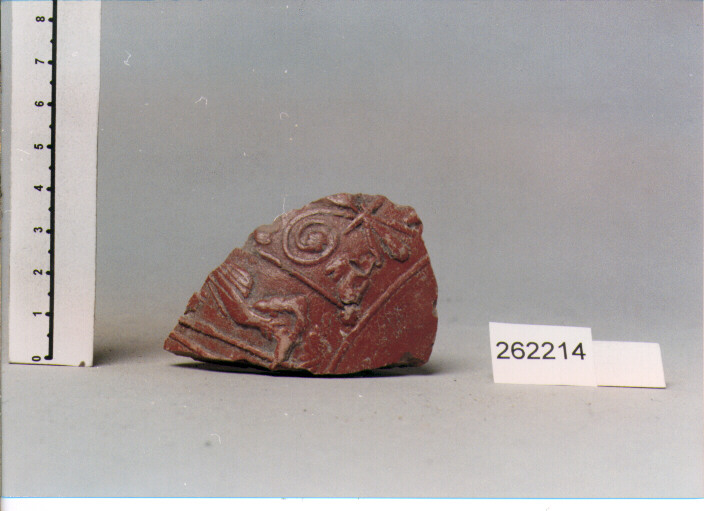 coppa/ parete (SECC. I A.C./ I D.C)