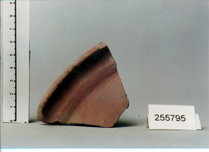 scodella/ orlo (SECC. IV/ VII D.C)