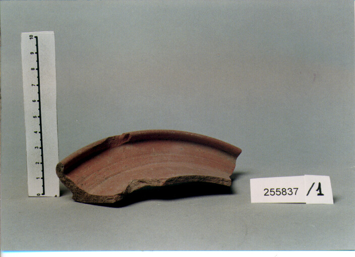 VASO/ FORMA PARZIALMENTE RICOSTRUIBILE (secc. IV/ VI d.C)