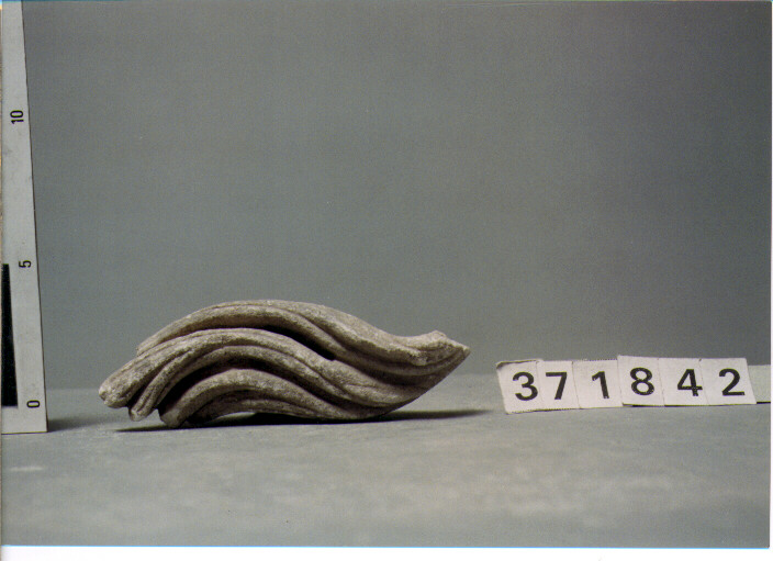 TESTA (SECC. III A.C. / IV D.C)